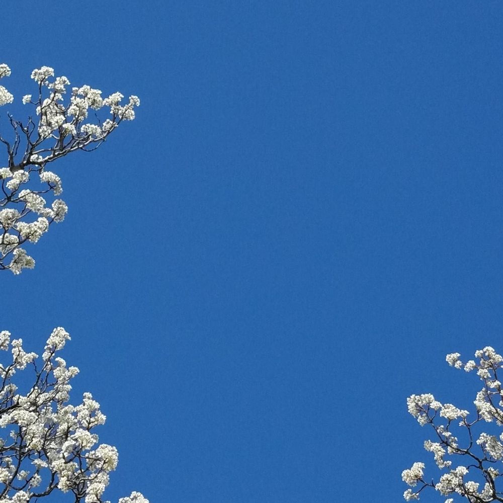 Meet your Posher, Sue